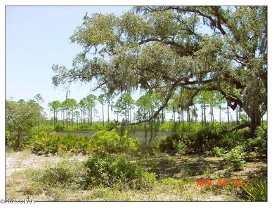 Gorgeous +/-4.4 acre secluded property on West Bay. Located at - photo 5