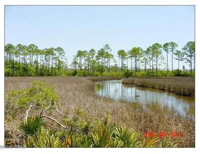Gorgeous +/-4.4 acre secluded property on West Bay. Located at - photo 7