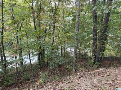 This is the perfect spot to build your dream cabin or bring your - photo 11