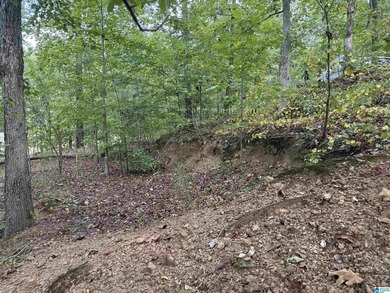 This is the perfect spot to build your dream cabin or bring your - photo 12