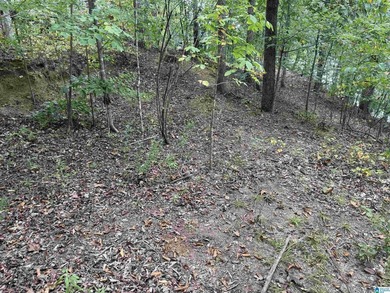 This is the perfect spot to build your dream cabin or bring your - photo 13