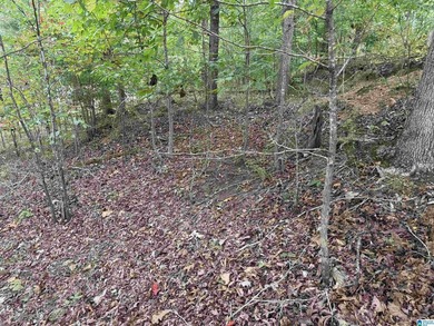 This is the perfect spot to build your dream cabin or bring your - photo 14