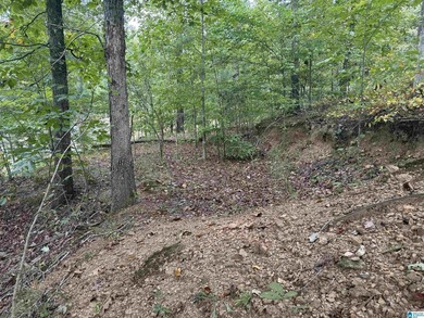 This is the perfect spot to build your dream cabin or bring your - photo 15