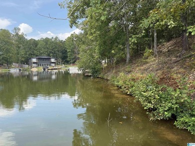 This is the perfect spot to build your dream cabin or bring your - photo 16
