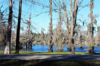 Cypress Lake Lot For Sale in Lake Charles Louisiana