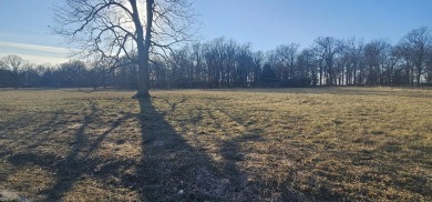 Lake Acreage For Sale in Springfield, Missouri