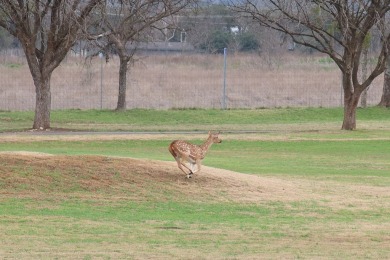 Beautiful Custom Home on the 14th green at the Flying L Ranch