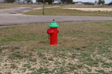 Beautiful Custom Home on the 14th green at the Flying L Ranch