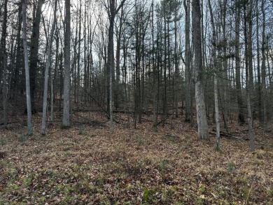 Chatham Lake Lot For Sale in Daniels West Virginia