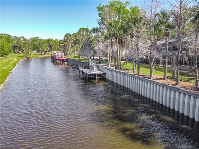 Under contract-accepting backup offers. STONE ISLAND PERFECTION - photo 48