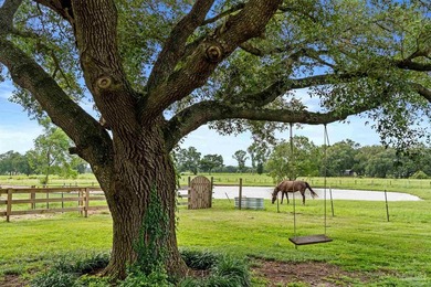 Additional listing photo 2