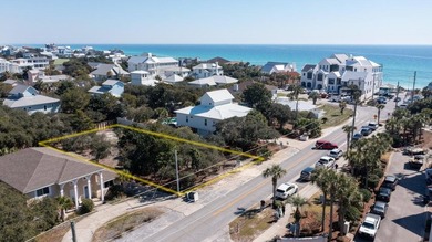 Seize the rare opportunity to build your dream home on one of - photo 8
