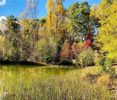 Jakes Lake Lot For Sale in Cleveland Georgia