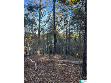 This 3.45 acre lot has beautiful views of Lay Lake. Water access - photo 12
