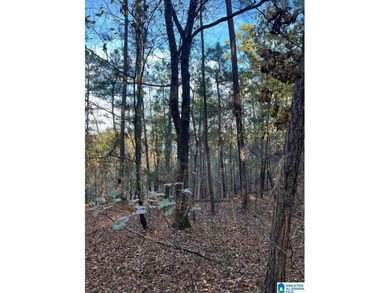 This 3.45 acre lot has beautiful views of Lay Lake. Water access - photo 13