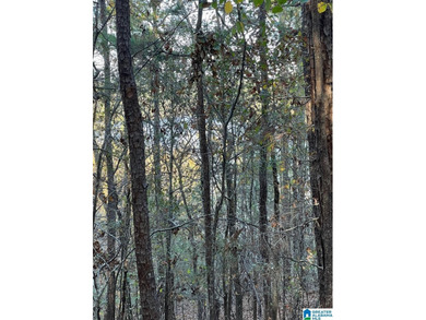 This 3.45 acre lot has beautiful views of Lay Lake. Water access - photo 15