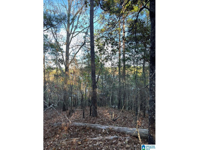 This 3.45 acre lot has beautiful views of Lay Lake. Water access - photo 16
