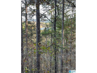 This 3.45 acre lot has beautiful views of Lay Lake. Water access - photo 17