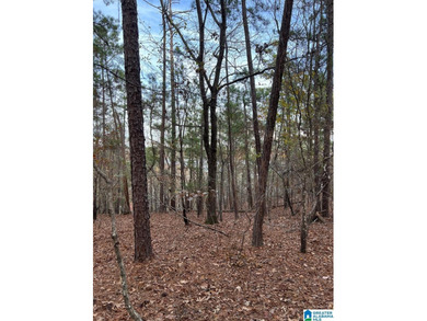 This 3.45 acre lot has beautiful views of Lay Lake. Water access - photo 18