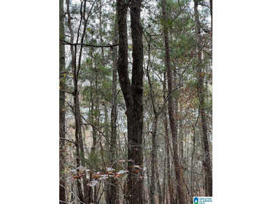 This 3.45 acre lot has beautiful views of Lay Lake. Water access - photo 19