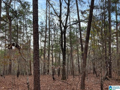 This 3.45 acre lot has beautiful views of Lay Lake. Water access - photo 20