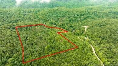 780 Wolf Pen Hollow in Camdenton offers nearly 13 acres of - photo 3