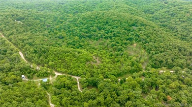 780 Wolf Pen Hollow in Camdenton offers nearly 13 acres of - photo 5