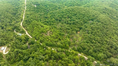 780 Wolf Pen Hollow in Camdenton offers nearly 13 acres of - photo 6
