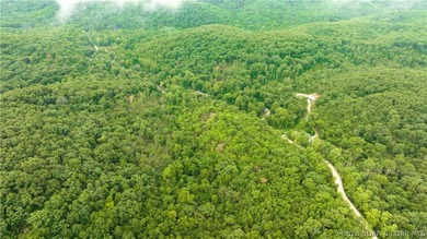 780 Wolf Pen Hollow in Camdenton offers nearly 13 acres of - photo 8