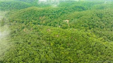 780 Wolf Pen Hollow in Camdenton offers nearly 13 acres of - photo 9