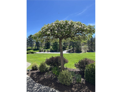 Gorgeous contemporary home in one of Mendon's most sought after - photo 49