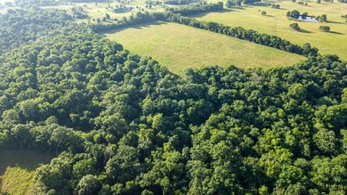 157+/- acres of Verdigris River frontage with a barndominium and - photo 8