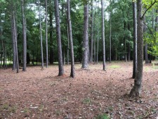 Additional listing photo 4
