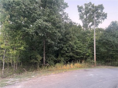 Lake Lot For Sale in Bella Vista, Arkansas