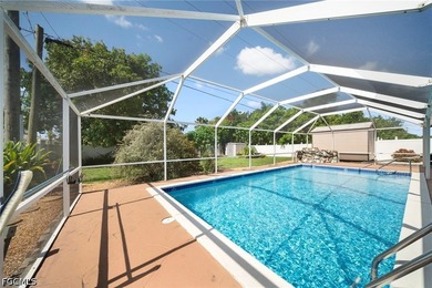 Nestled in the sought-after Fort Myers Villas community, this - photo 29