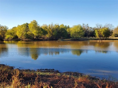 (private lake, pond, coastal) Acreage For Sale in Ivanhoe Texas