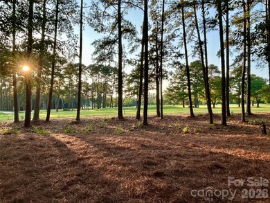 This quality constructed brick custom home boarders Piney Point - photo 12