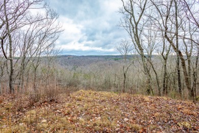 Lake Lot For Sale in Guild, Tennessee
