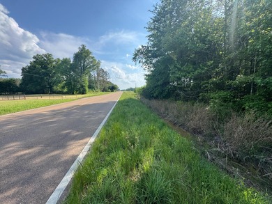 (private lake, pond, coastal) Acreage For Sale in Durant Mississippi