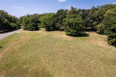 Breathtaking Views of the Arkansas River! All this lot needs is - photo 8