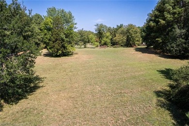 Breathtaking Views of the Arkansas River! All this lot needs is - photo 10