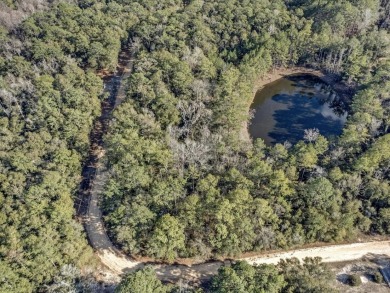 Lake Lot For Sale in Ponce De Leon, Florida