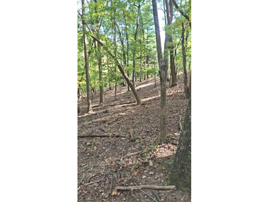 Lake Petit Lot For Sale in Big Canoe Georgia