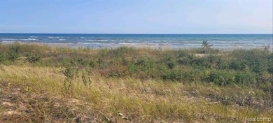 Lake Michigan - Mackinac County Lot For Sale in Naubinway Michigan