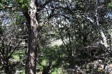 Build your dream home on the desirable west side of Canyon Lake! - photo 14