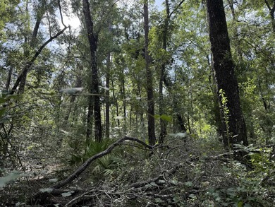 Suwannee River Lot For Sale in Live Oak Florida