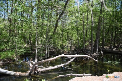 Build your dream home on the desirable west side of Canyon Lake! - photo 31