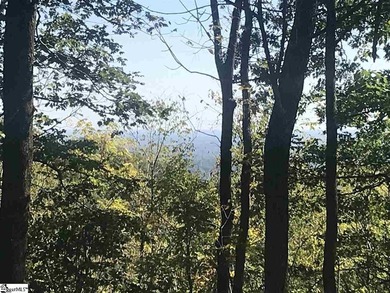 Come home to The Cliffs at Glassy, the community's original - photo 2
