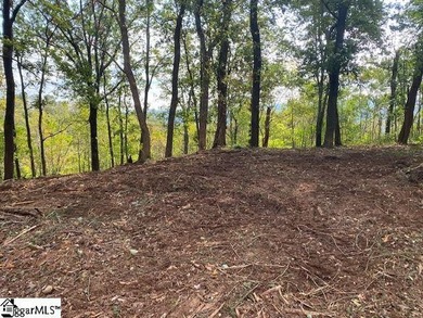 Come home to The Cliffs at Glassy, the community's original - photo 3