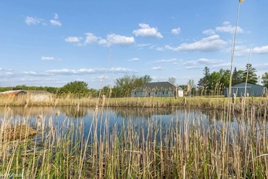 This beautiful Ranch is what you are looking for! Open with - photo 49